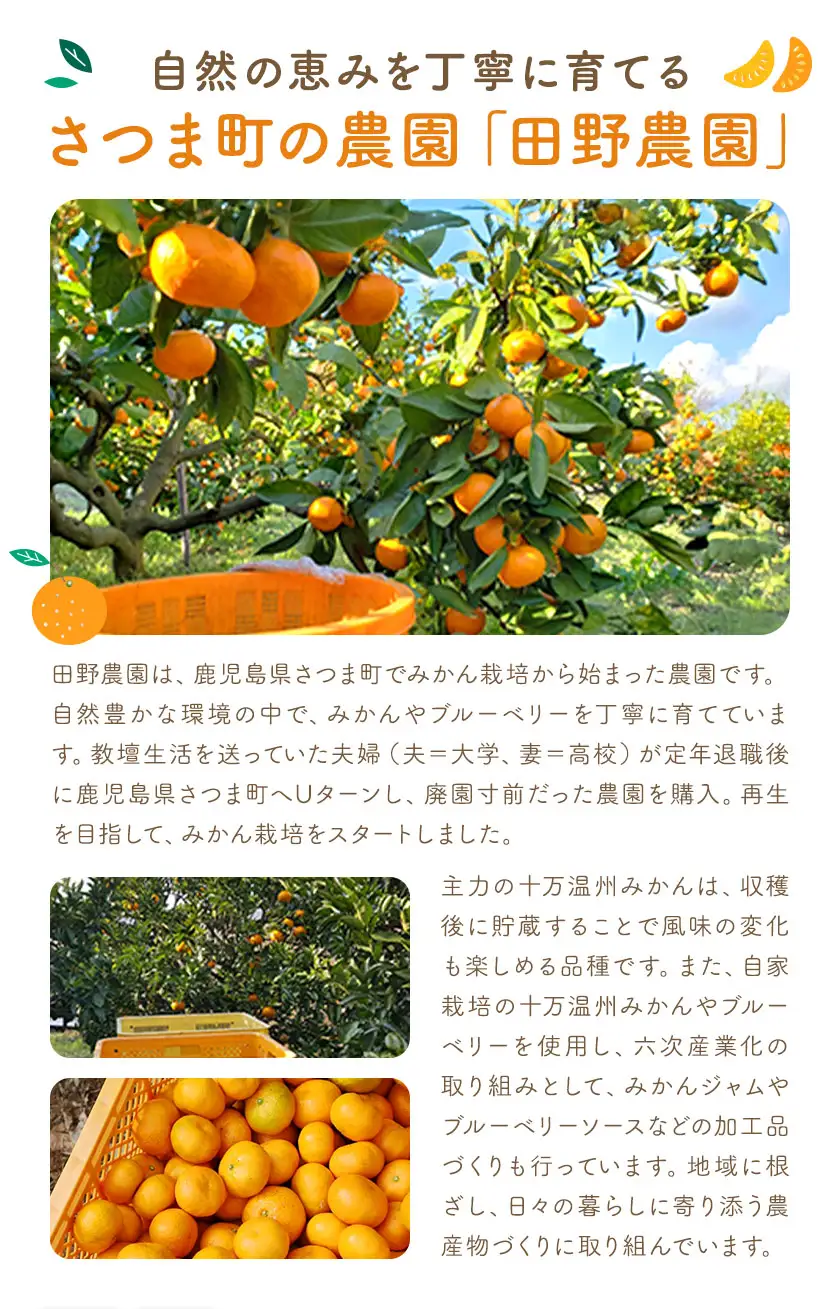 十万みかん ジャム 150g 4個 田野農園《30日以内に出荷予定(土日祝除く)》鹿児島県 さつま町