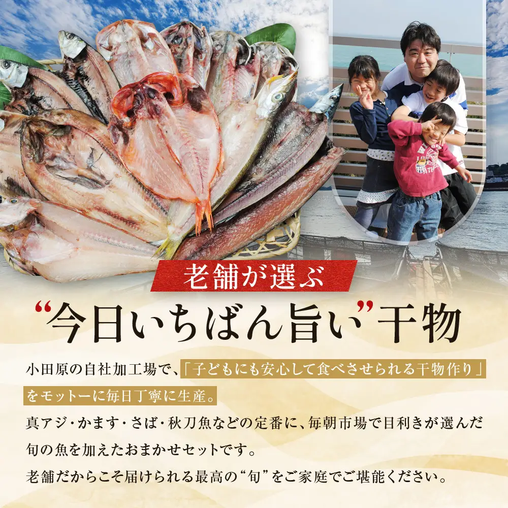 【国産】おまかせ干物セット 竹コース【お取り寄せ 海鮮 グルメ ギフト プレゼント 産地直送 産直 魚 手作り ひもの 詰め合わせ お中元 お歳暮 父の日 母の日 誕生日 自宅用 贈答品 贈答用 朝食 バーベキュー 神奈川県 小田原市 干物 干物】