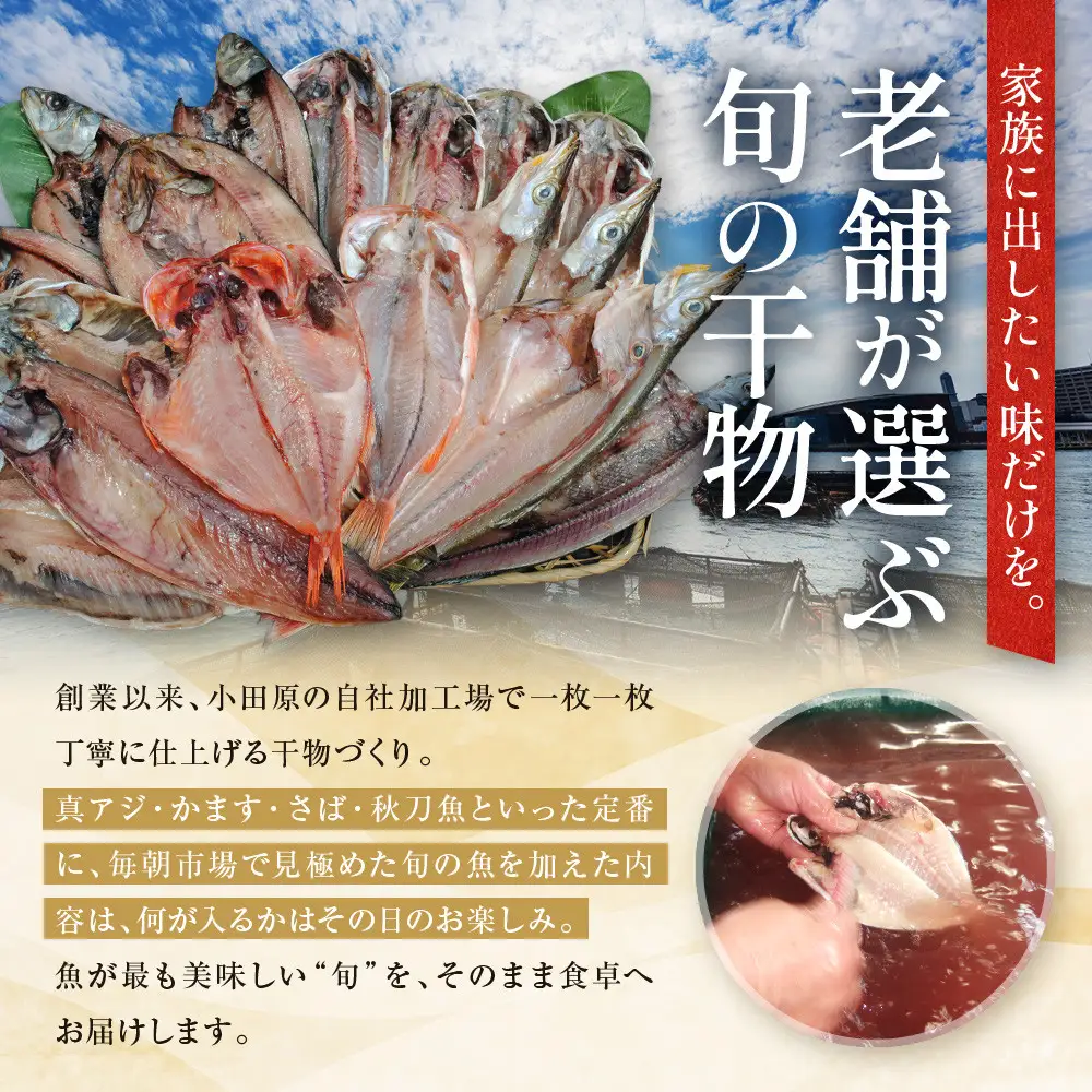 【国産】おまかせ干物セット 松コース【惣菜 魚 干物 ひもの お取り寄せ 御中元 お中元 お歳暮 父の日 母の日 贈り物 家庭用 自宅用 贈答品 贈答用 ギフト 定番 神奈川県 小田原市 ひもの】