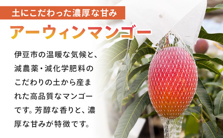 とろけるあまーいマンゴー（アーウィン）2～3個　7月～8月発送 マンゴー マンゴー マンゴー マンゴー マンゴー