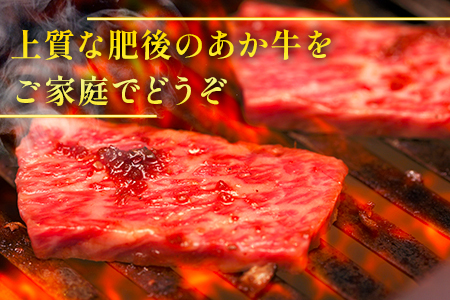 【定期便3回】熊本県産 和牛 肥後のあか牛 焼肉用 500g ×3回 計1.5kg 牛肉 焼き肉 定期便 焼肉 やきにく 焼肉用 焼き肉用 やきにく用 定期便3回 定期 熊本県産 黒毛和牛 A5 上質 お肉 肉 赤牛 あか牛 定期発送 スライス バーベキュー グルメ ヘルシー BBQ 赤身 肥後 国産 九州 熊本県産 冷凍発送  030-0692