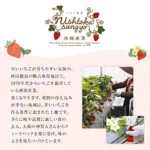 農家がつくったジャムいちご130gパック（4個）