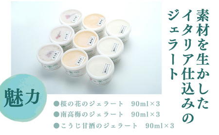 素材を生かした イタリア仕込み 奥大和のめぐみ ジェラート （ 3種 ） 計9個 | アイス 南高梅 甘酒 桜の花の塩漬け 有限会社 農悠舎 
