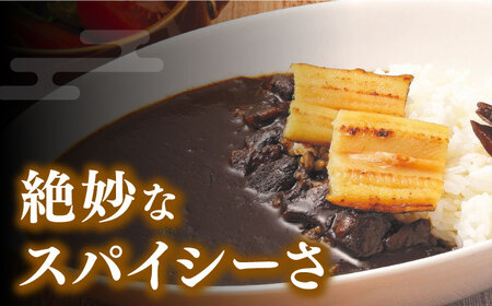FISH COOK BOOK 対馬防人あなごカレー 4個 セット あなご 穴子 レトルトカレー スパイス 自衛隊 コラボ [WAI081]