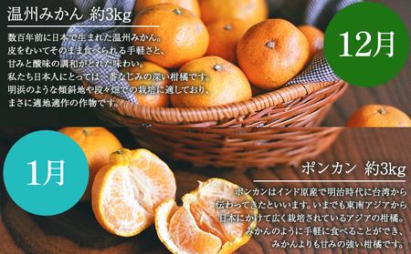 ＜無茶々園の柑橘頒布会 定期便 7回＞ 果物 フルーツ 温州みかん ミカン 蜜柑 ポンカン 伊予柑 いよかん 不知火 しらぬい 甘夏 あまなつ 河内晩柑 かわちばんかん ひょう柑 ひょうかん 無茶々園 愛媛県 西予市【常温】『2024年12月に第1回目を順次出荷予定』AMC0029
