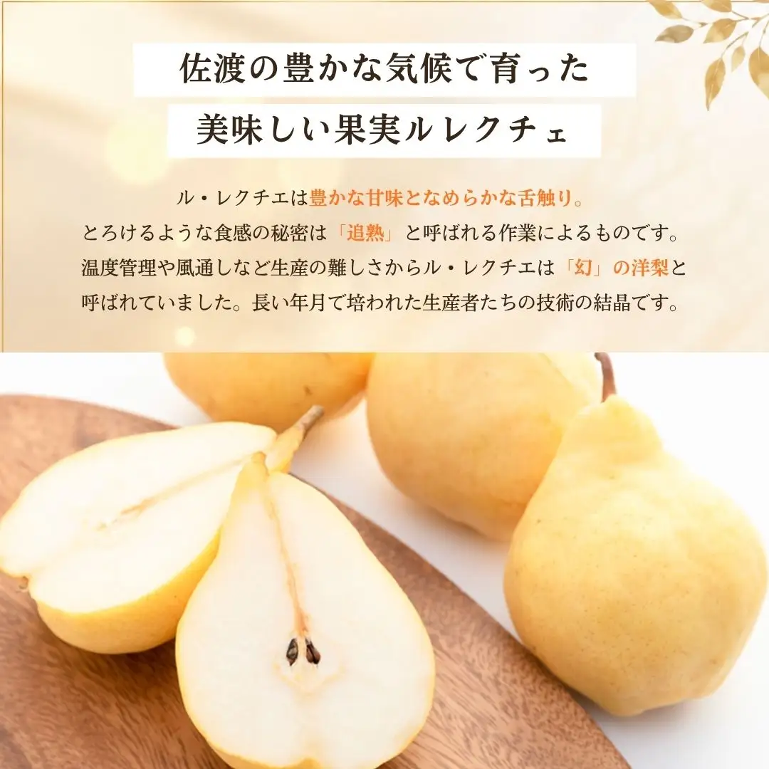 【先行予約】【2026年11月下旬より順次発送】梨 西洋梨 ル・レクチエ 2kg ( 5～6個 ) 【贈答用】