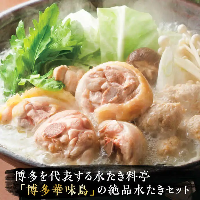 水炊き 【全6回定期便】 6‐8人前 [ABCN007] 水炊き