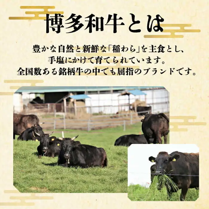 【全2回定期便】サーロイン ステーキ 200g × 2枚 [ABCL002] 