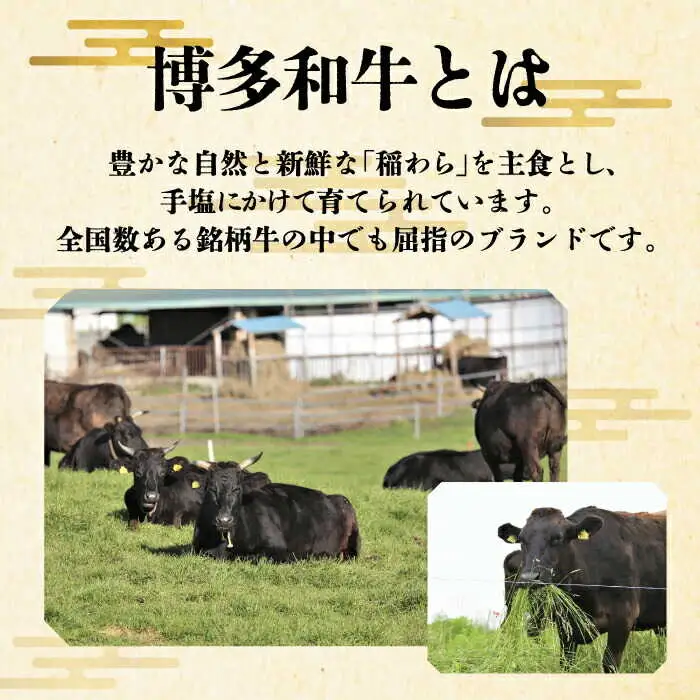 【全3回定期便】サーロイン ステーキ 200g × 2枚肉 [ABCL003] 