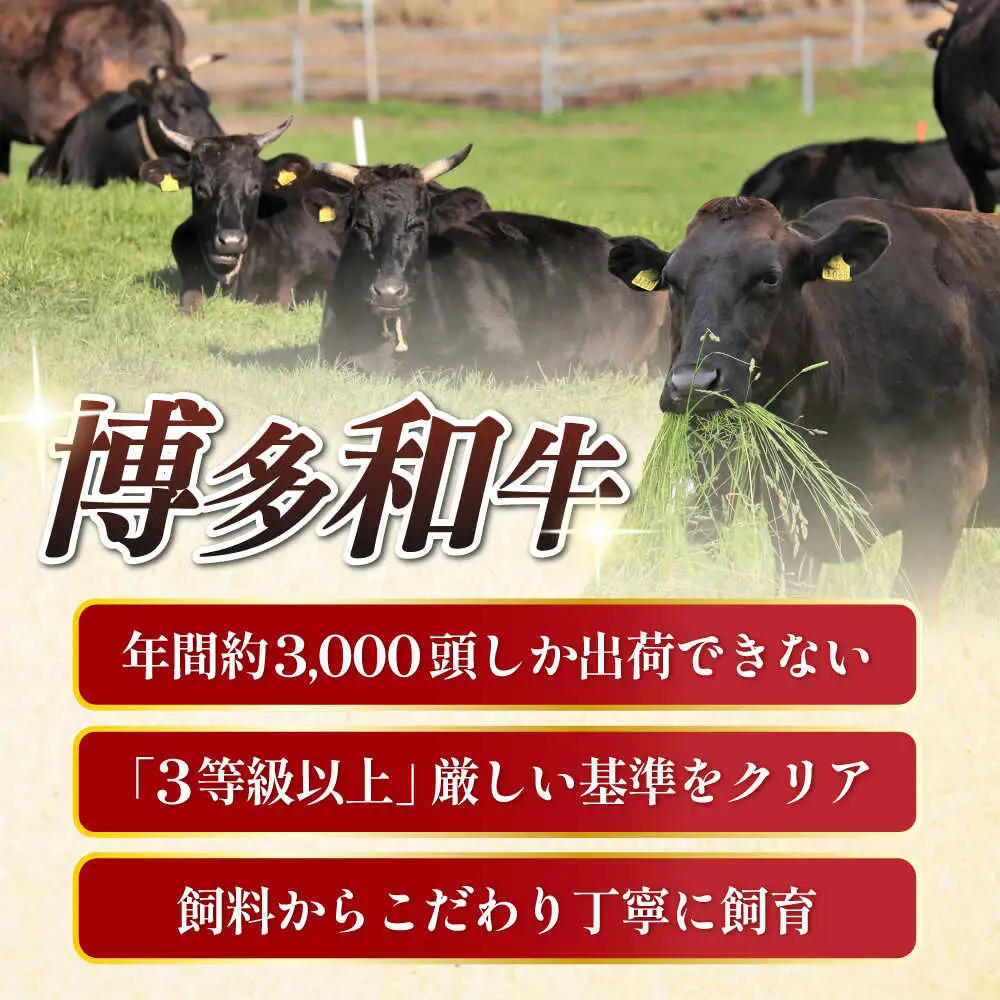  【全5回定期便】 博多和牛 ヒレステーキ 200g × 5枚 [ABCL035] ヒレ 牛肉
