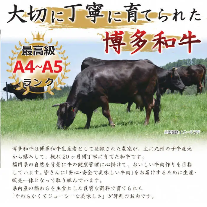 【訳あり】博多和牛 サーロイン ステーキ セット 5kg（250g×20枚） 牛肉 肉 [ABBP065]
