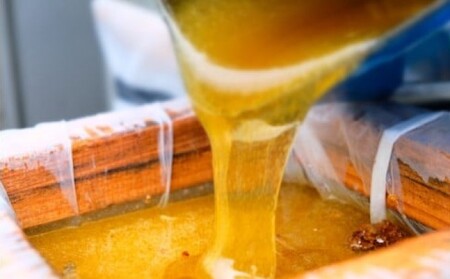 はちみつ 国産天然 れんげ とんがり容器 はちみつ【500g】