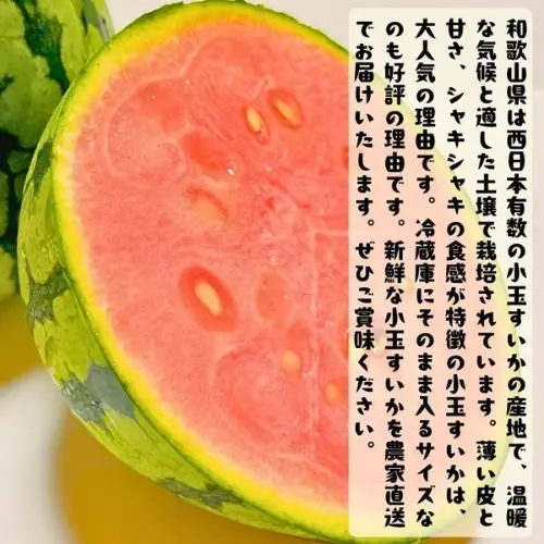 農家直送 厳選 小玉すいか Mサイズ/2玉入り【2027年6月上旬～6月下旬（順次発送予定）】【先行予約】【AA90053-ard176B】