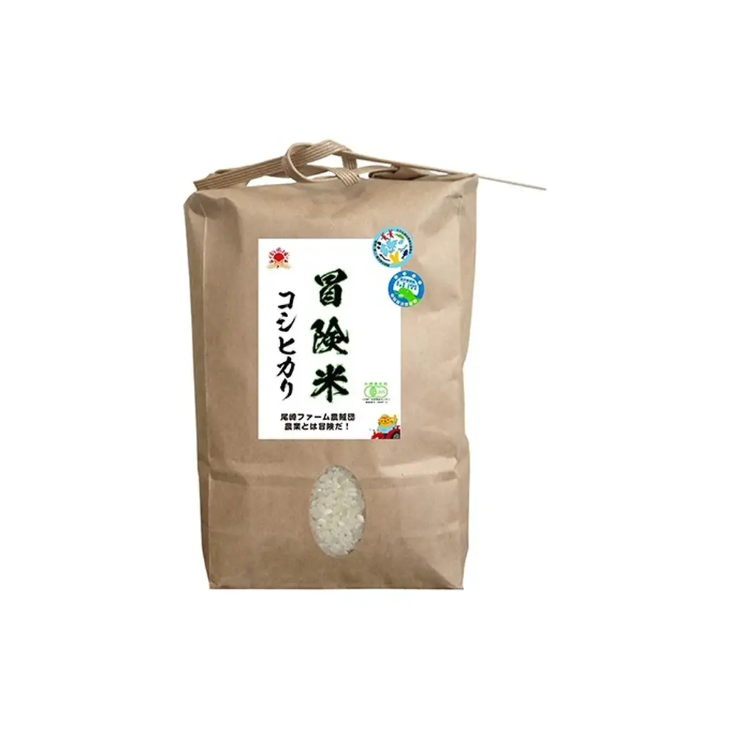 コシヒカリ 令和6年産 5kg お米 精米 コシヒカリ 玄米