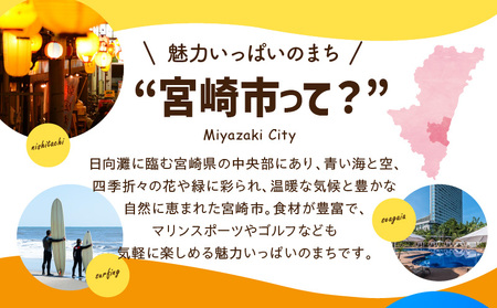 宮崎県宮崎市の対象ツアーに使えるHISふるさと納税クーポン 寄附額20000円 クーポン 宮崎県宮崎市 ツアー