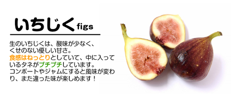 SA2874　ハウス栽培 いちじく　約2.4kg(300g×4パック入 2箱)