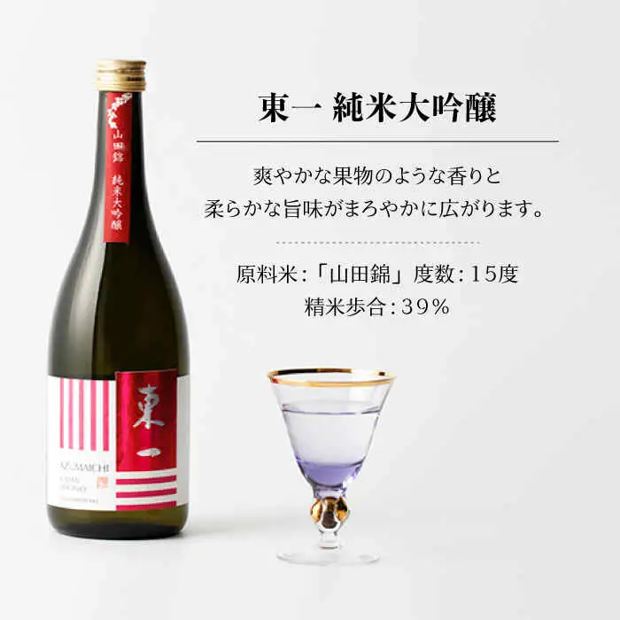 日本酒 東一 日本酒飲み比べ2種 NBQ020 