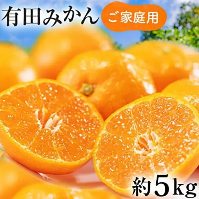 ［先行予約］ご家庭用 完熟 有田みかん 5kg［2026年12月発送予定］訳あり 農家直送［MS31-2］