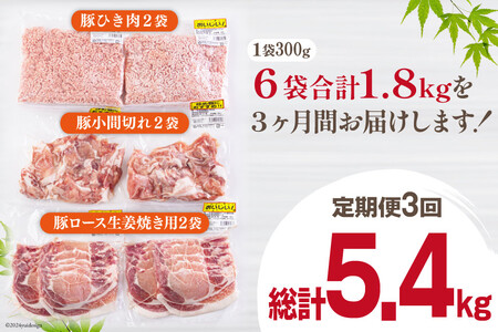 3回 定期便 宮崎県産 豚肉 ３種 セット ひき肉 こま切れ ロース生姜焼き用 小分け 合計5.4kg 各300g×2