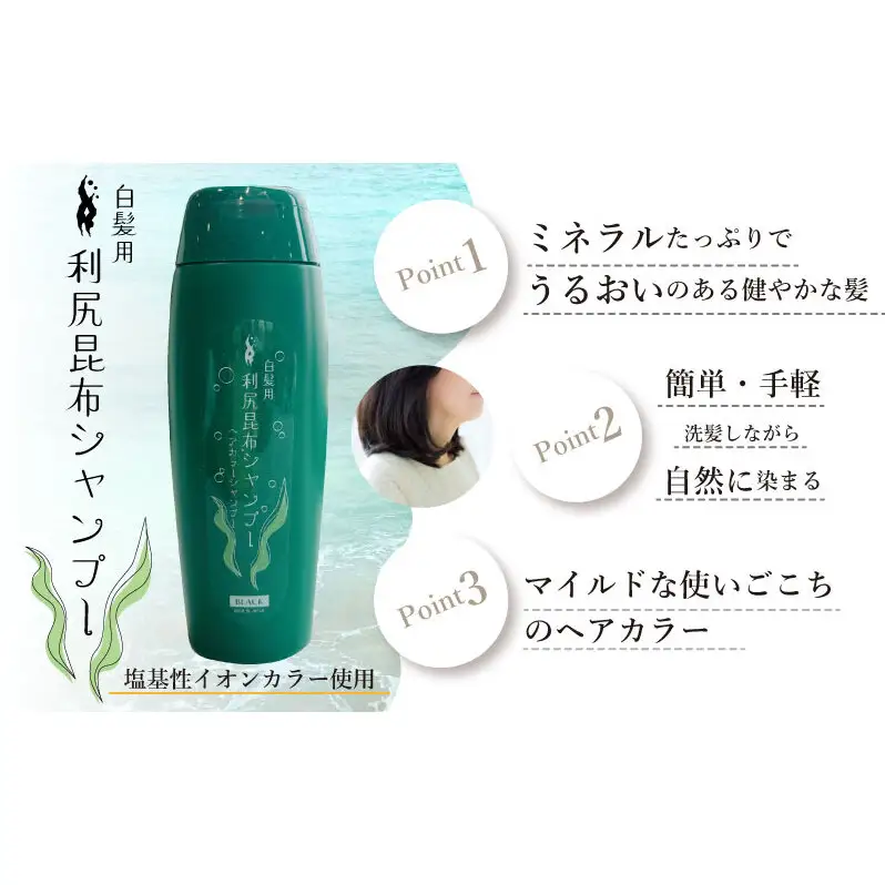 利尻昆布 ヘアカラー シャンプー ブラック 2本セット