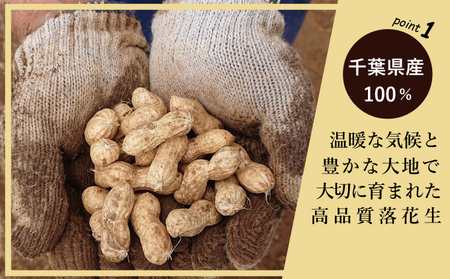 ピーナッツペースト 焦がし 750g ピーナッツペースト