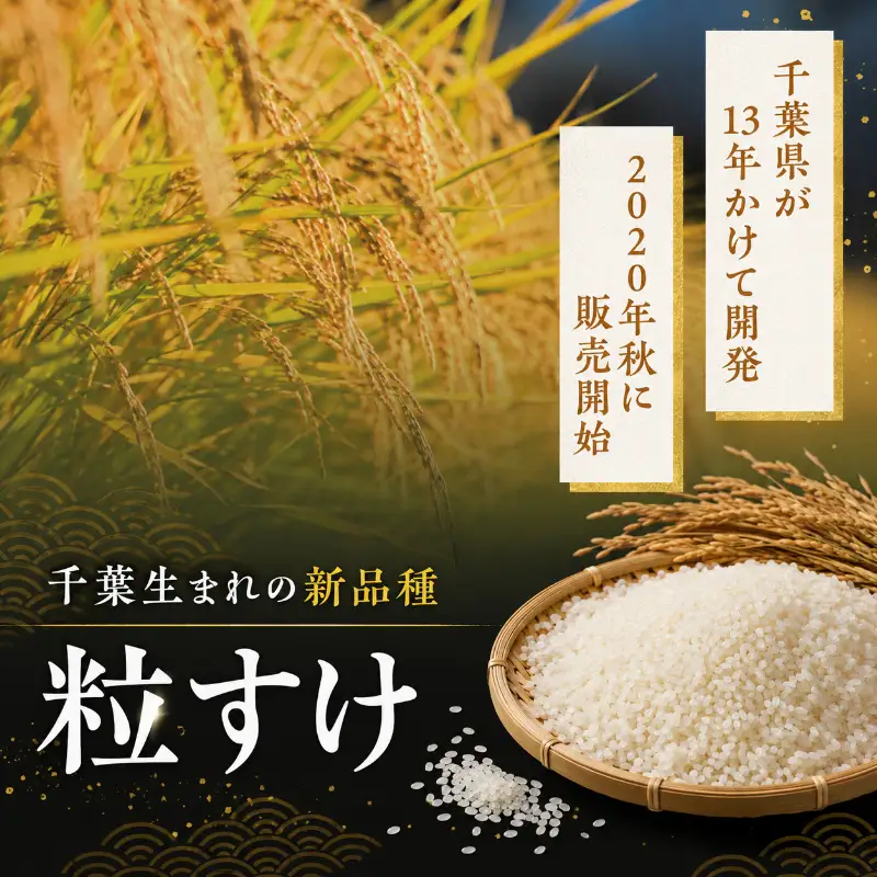 【先行予約・令和8年産】 粒すけ  白米5kg 　【 お米 こめ コメ おこめ 】 