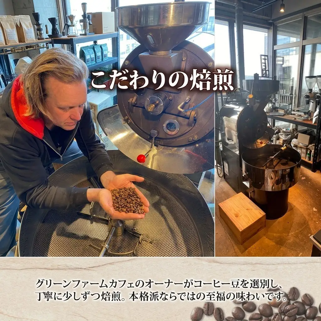 コーヒー豆 ブラウンベア ダークロースト 自家焙煎 コーヒー豆【400g】