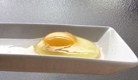 伊万里こすもす村 歩く花 たまご 卵 ６個入り×２箱 164-B1274