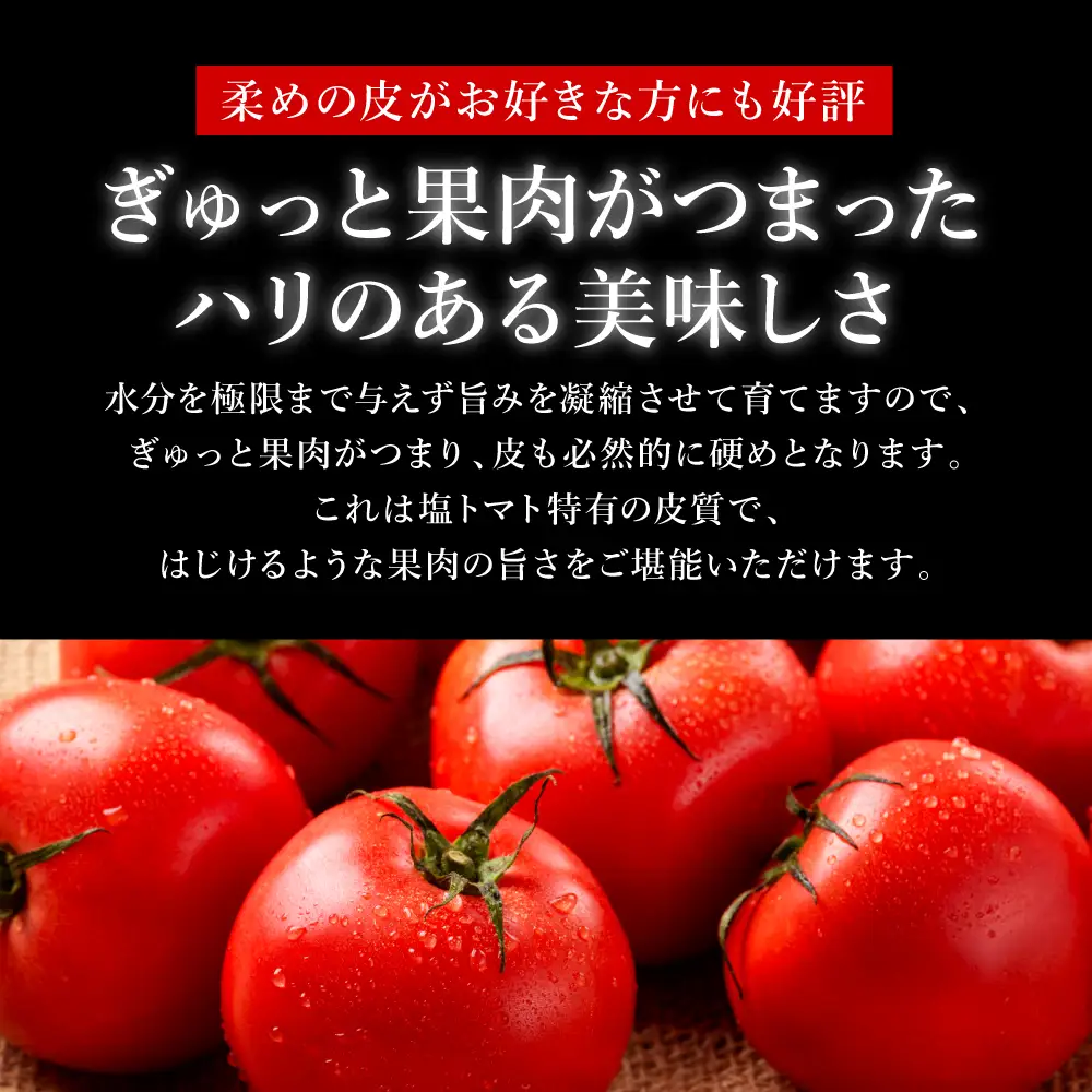 トマト 【先行予約】 くまもと塩トマト 「ロイヤルセレブ」 約1kg 【2027年1月上旬より順次発送】 トマト