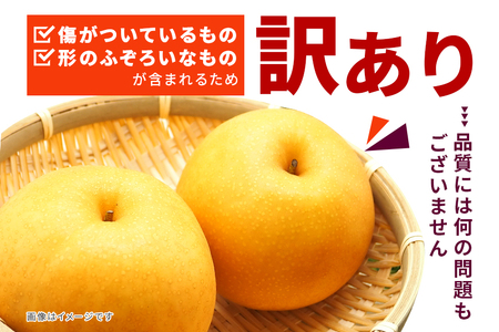 訳あり 新高 梨 5kg 柴沼梨園 BX-008