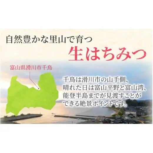 生はちみつ 200g×2本 【プラボトル】  / 国産 天然 はちみつ ハチミツ 蜂蜜 ハチミツ 純粋はちみつ 蜂蜜 百花 非加熱 国産 ギフト 贈答用 プレゼント レモン 紅茶 梅干し 富山県 滑川市 ハニー 人気 おすすめ [A-033002]