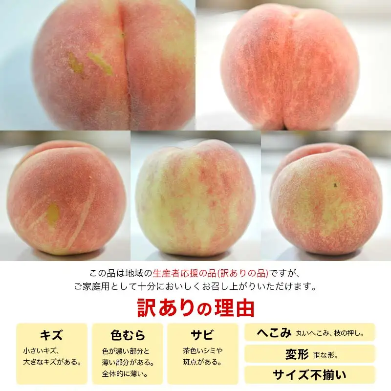 FYN9-830 ≪2027年先行予約≫ ご家庭用 山形県産 黄金桃 約3kg( 7～13玉) 柔らかくなる桃 2027年8月中旬から順次発送 果物 くだもの フルーツ 桃 もも ピーチ 黄桃 おうごんとう 訳あり ワケアリ 支援品 自宅 家庭 山形県 西川町 月山