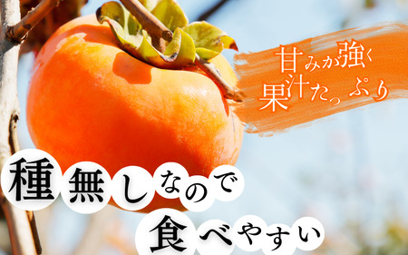  【先行予約】和歌山秋の味覚　平核無柿（ひらたねなしがき）約4kg　化粧箱入　※2026年10月上旬頃〜2026年11月上旬頃順次発送（お届け日指定不可）/柿 果物 フルーツ くだもの 先行予約【uot701A】