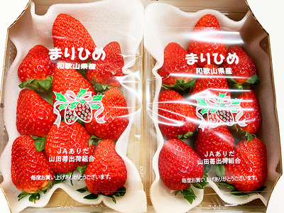  紀州和歌山ブランドいちご「まりひめ」約280g×2P　※2027年1月上旬頃〜３月上旬頃に順次発送予定（お届け日指定不可）/ いちご イチゴ 苺 果物 フルーツ まりひめ 【uot759】