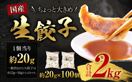 訳あり！ちょっと大きめ 国産 生餃子 (ラー麦使用)  100個 2kg ＆ 辛子明太子 小切り 300g セット ぎょうざ ギョウザ めんたいこ 冷凍