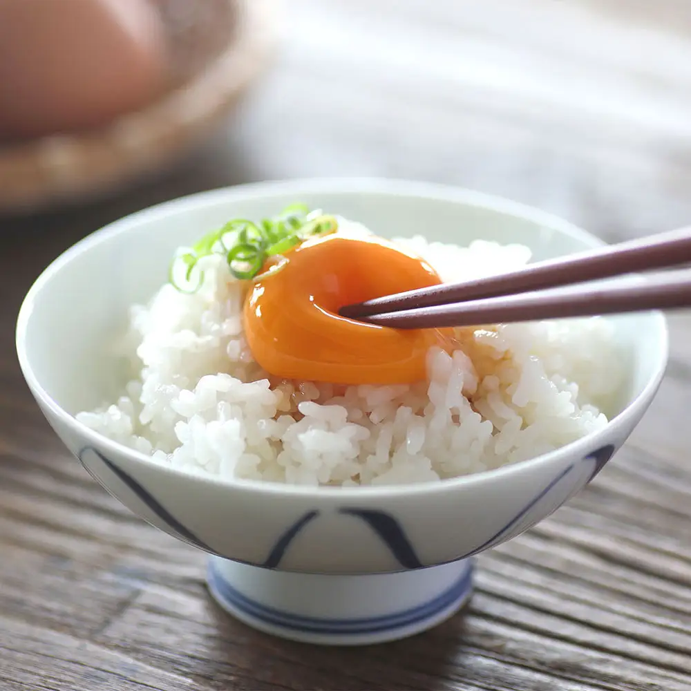 【定期便】地養卵 30個 MS~Lサイズ 6ヶ月 毎月お届け 新鮮 卵 たまご 鶏卵 生卵 地養卵 赤たまご スズキのたまご【9月中旬発送】
