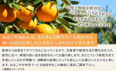 ＜おはこやがつくる 高品質みかん 約5kg（S～Lサイズ）＞ 果物 フルーツ 柑橘 ミカン 蜜柑 特産品 西宇和 愛媛県 西予市【常温】『2026年11月中旬～12月中旬迄に順次出荷予定』MOK0003