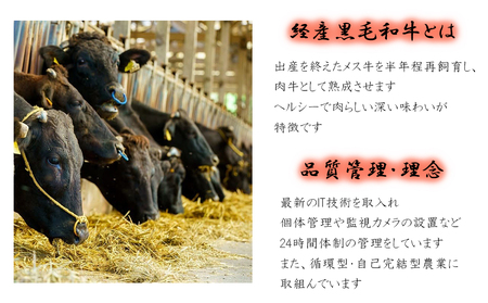 3回 定期便 宮崎県産 黒毛和牛 スライス セット 切り落とし モモ リブロース 肩ロース カタ 1.5kg 500g ×3