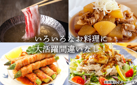 3回 定期便 宮崎県産 豚バラ しゃぶしゃぶ 切落し 合計4.5kg 500g×3パック 小分け