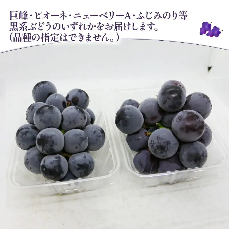 ぶどう 1kg マル南フルーツ [F010-106031] ぶどう