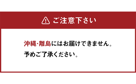 ソファ ラグ セット ブラウン ベージュ ソファ