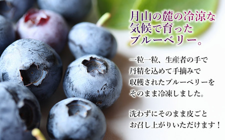 令和7年産【数量限定】JA庄内たがわの庄内産 冷凍ブルーベリー 2kg 【K-739】
