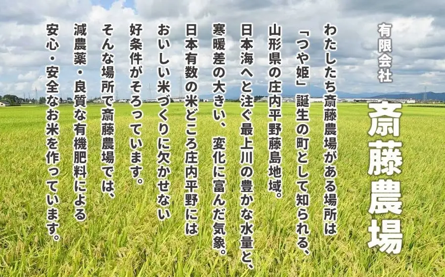 【令和7年産】 斎藤農場の特別栽培米 つや姫 5kg(5kg×1袋) 山形県鶴岡市 [K-756]