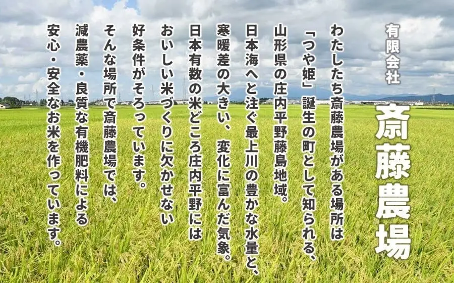 【令和7年産】斎藤農場の特別栽培米 雪若丸 無洗米 10kg(5kg×2) 山形県鶴岡市 [K-7120]