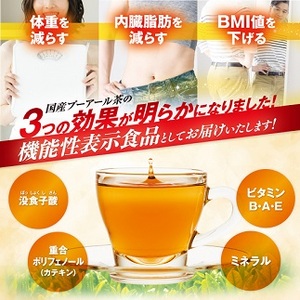 【定期便2か月】国産プーアール茶　SARYU-SOSO（5g×10ティーバッグ）×2回　＜機能性表示食品＞