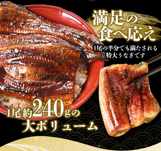 うなぎ うなぎ蒲焼 2尾 計約430g～480g （タレ・山椒付き）【nks700B-y】