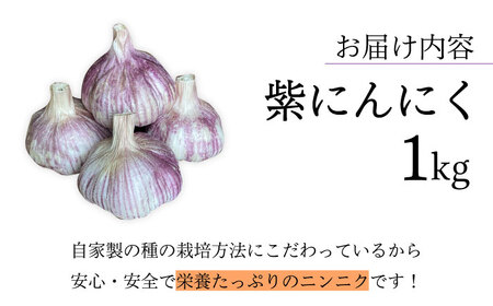 香り高い！ 紫にんにく 1kg 野菜 薬味 ニンニク 【浅田峠自然塾】[EA17] にんにく 紫 ニンニク