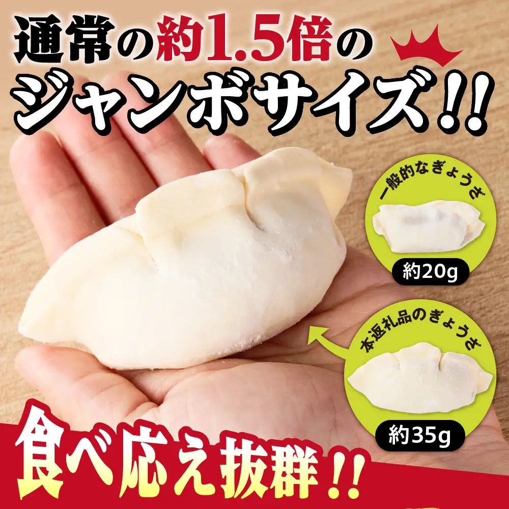 餃子 札幌ジャンボ肉餃子 16個入り×4袋セット