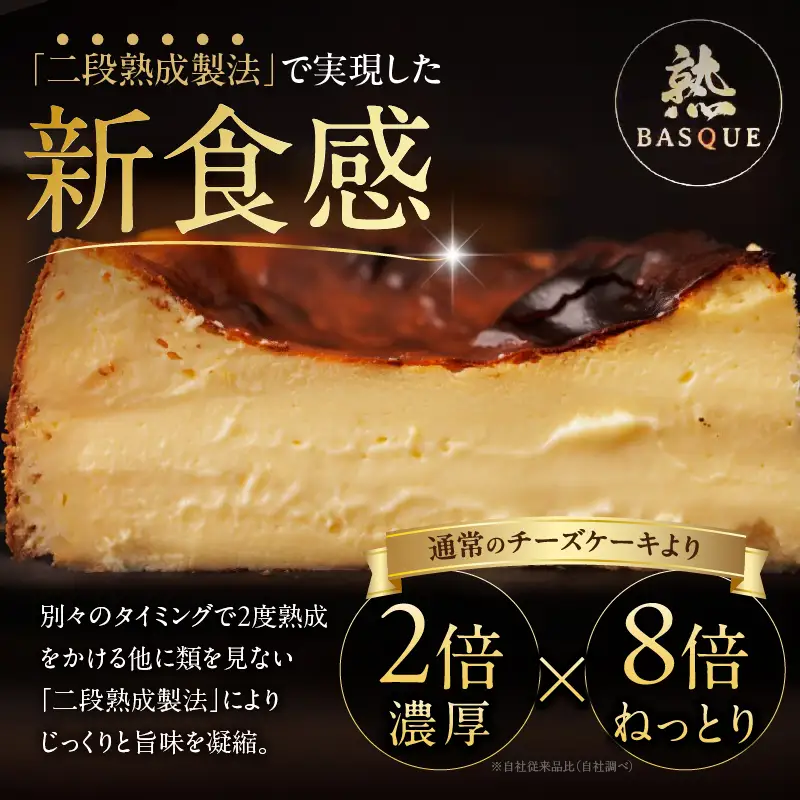熟成バスクチーズケーキ ケーキ スイーツ 北海道_H0041-100