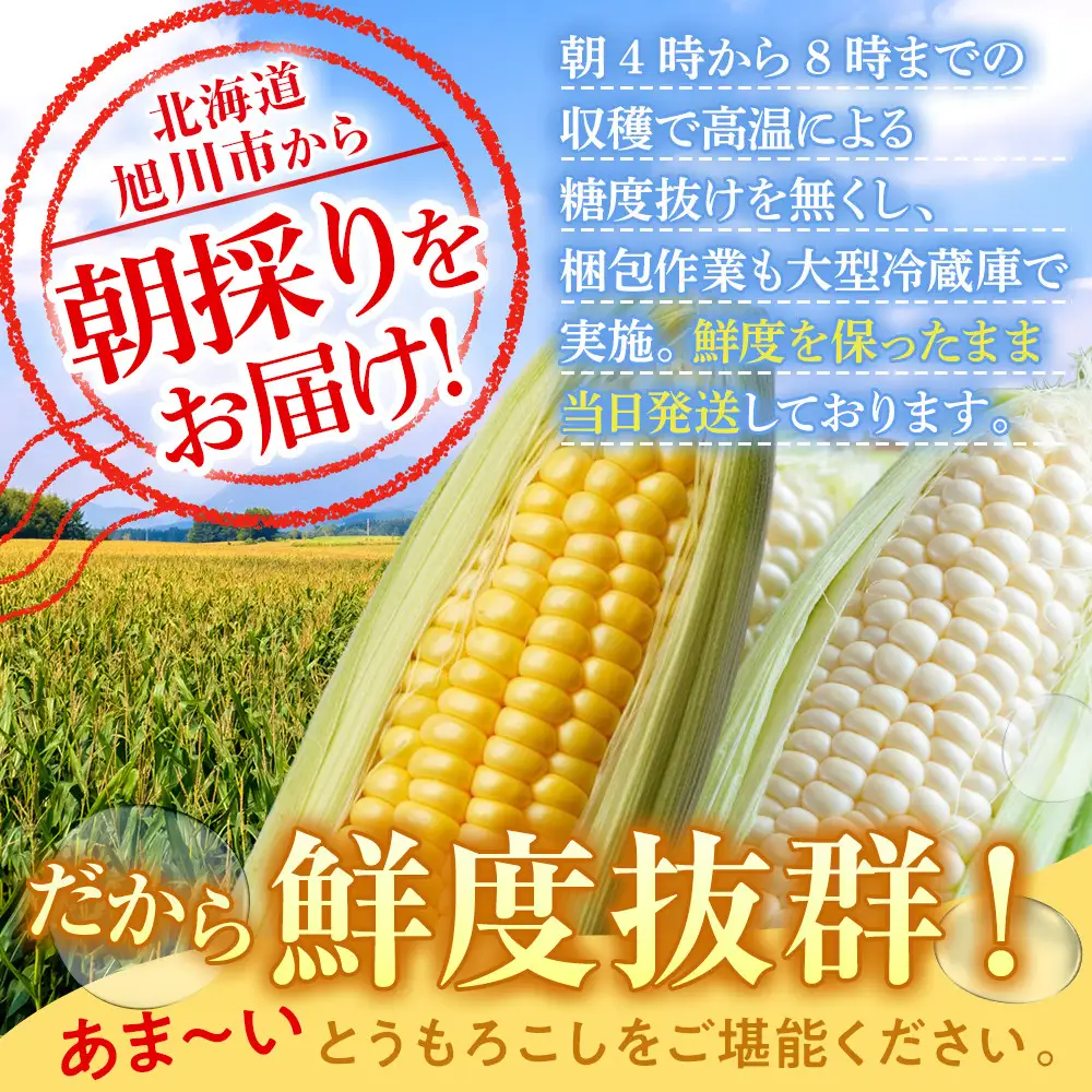 【先行予約】朝採りとうもろこしMIX10本 4kg あさひやま動物園 白くまとライオンのミックス（2026年8月中旬から発送開始）| とうもろこし  _02157
